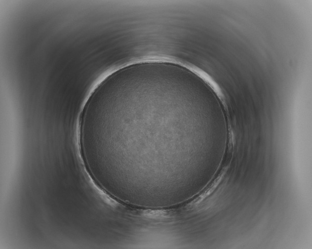X0000112161006200908071134