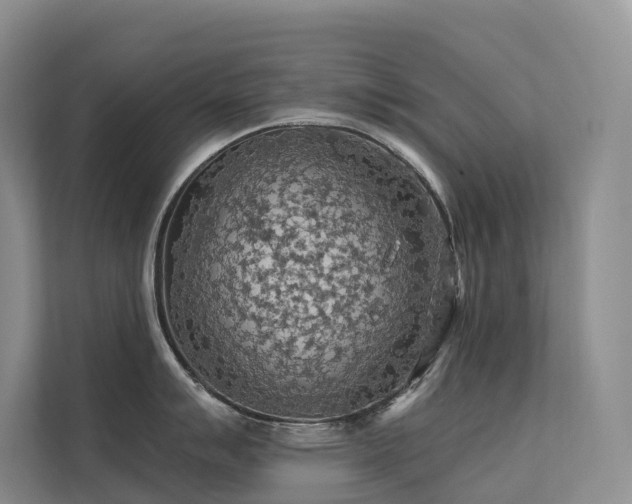 X0000112161007200908071134