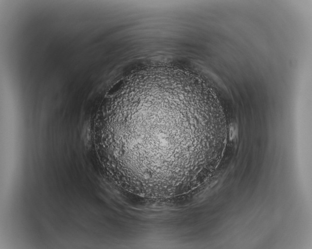 X0000112161011200908071134