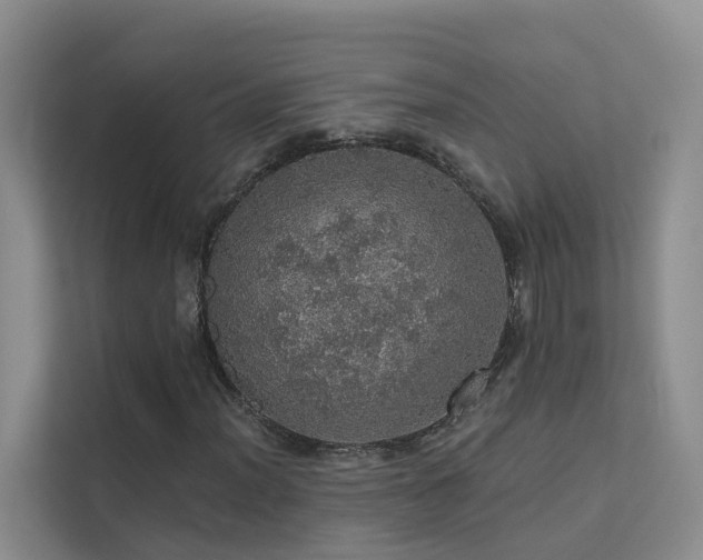 X0000112161012200908071134