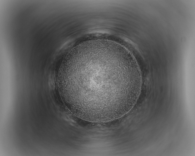 X0000112161014200908071134