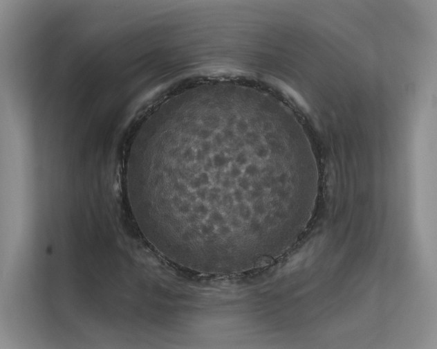 X0000112161016200908071134