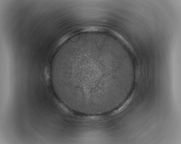 X0000112161017200908071134