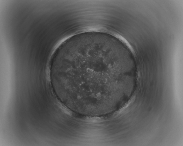 X0000112161019200908071134