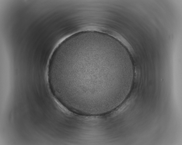 X0000112161020200908071134