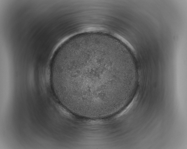 X0000112161021200908071134
