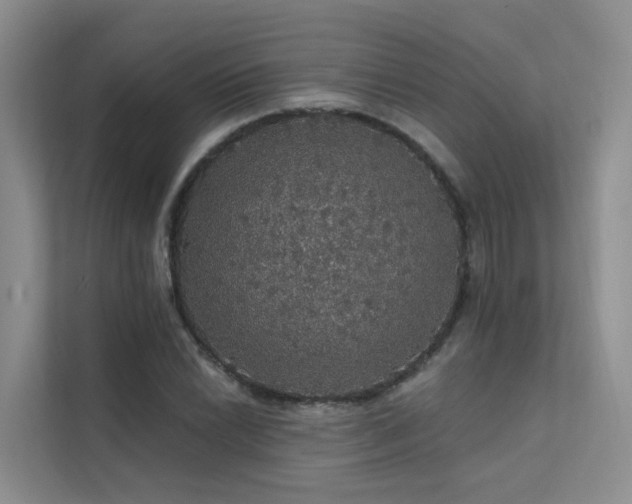 X0000112161022200908071134