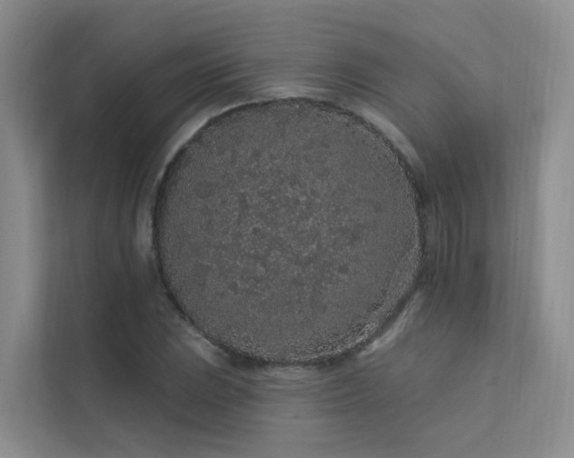 X0000112161023200908071134