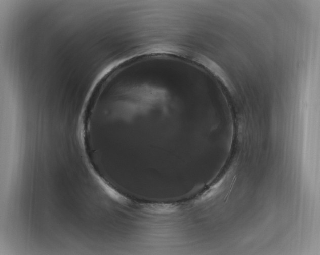 X0000112161024200908071134