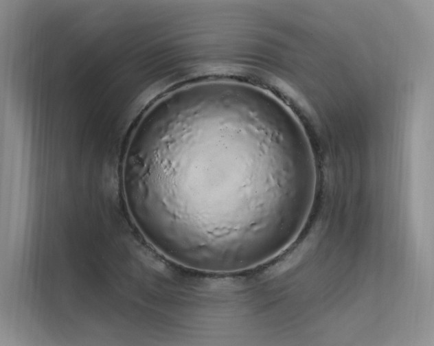 X0000112161025200908071134