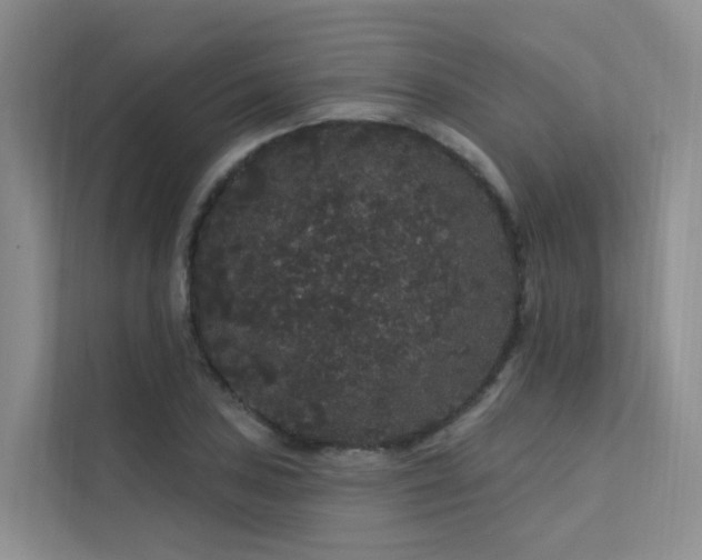 X0000112161027200908071134