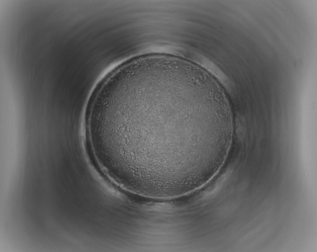 X0000112161028200908071134