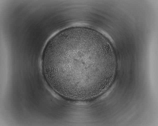 X0000112161029200908071134