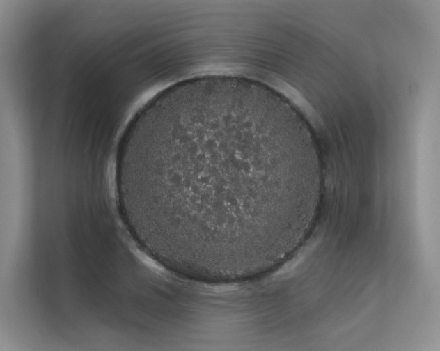 X0000112161030200908071134