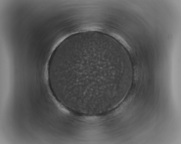 X0000112161031200908071134