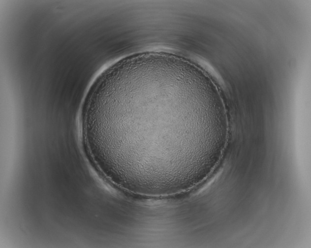 X0000112161032200908071134