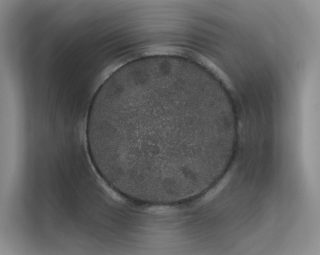X0000112161033200908071134