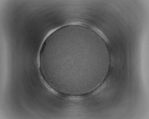 X0000112161036200908071134