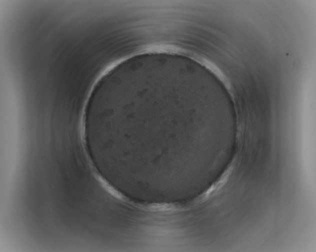 X0000112161037200908071134