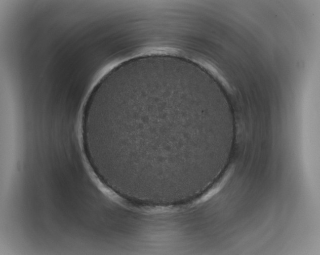 X0000112161038200908071134