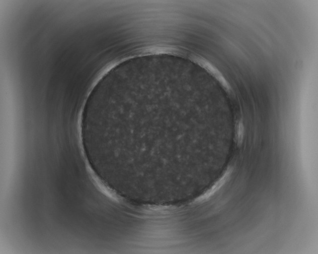 X0000112161039200908071134
