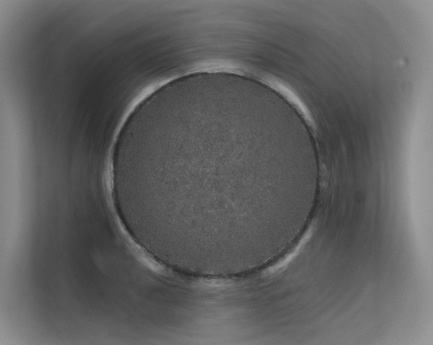 X0000112161040200908071134