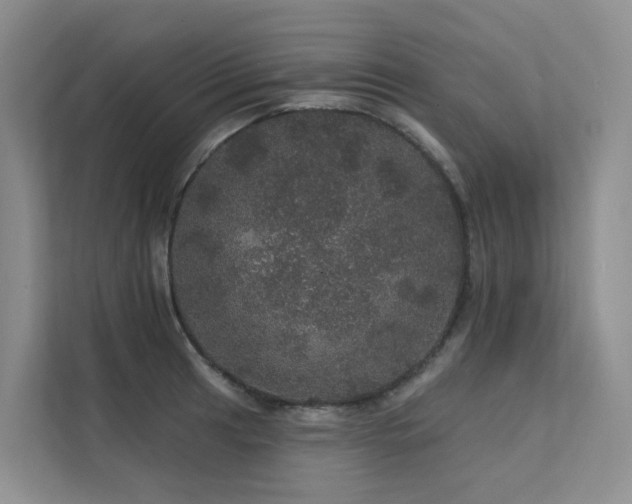 X0000112161041200908071134