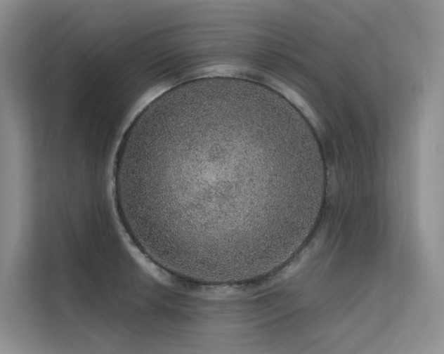 X0000112161042200908071134