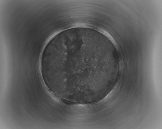 X0000112161043200908071134