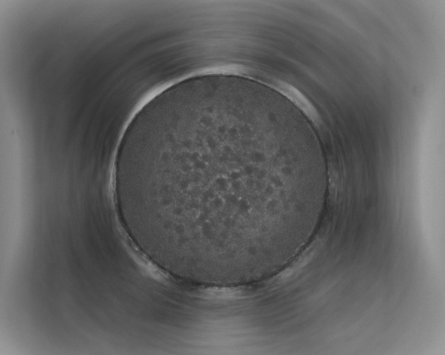 X0000112161044200908071134
