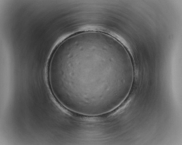 X0000112161045200908071134