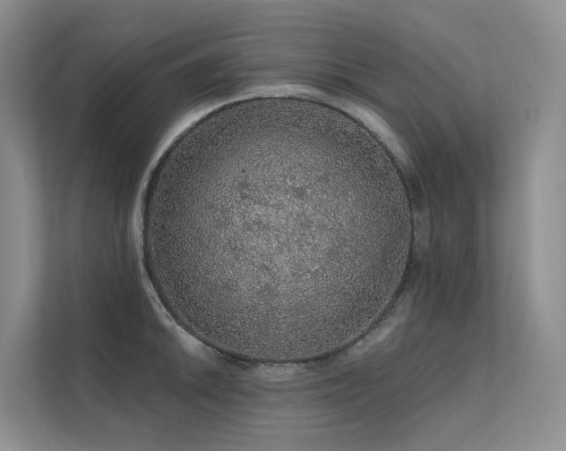 X0000112161046200908071134