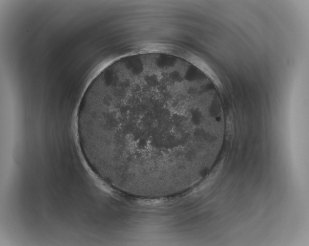 X0000112161047200908071134