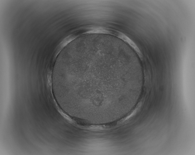 X0000112161049200908071134