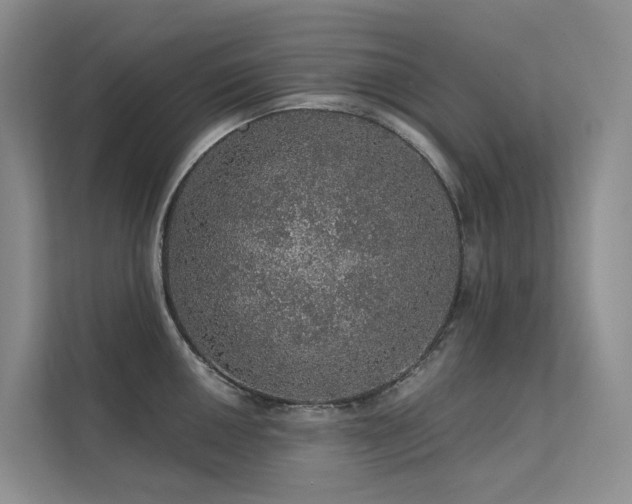 X0000112161050200908071134