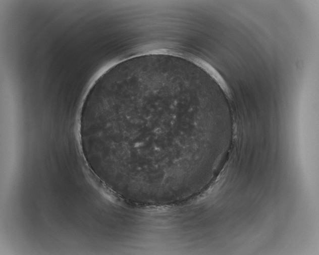 X0000112161051200908071134