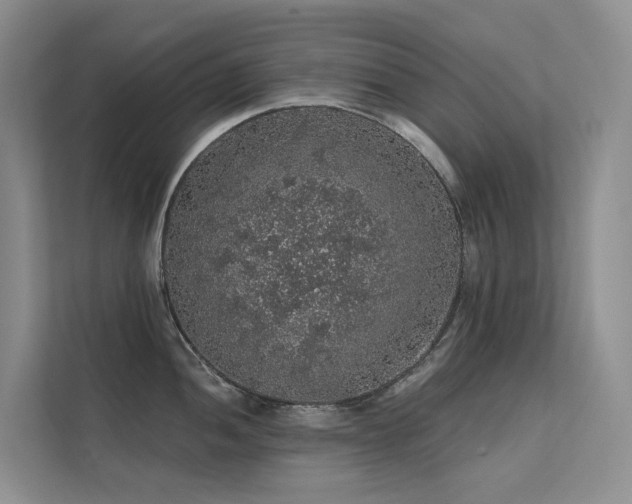 X0000112161052200908071134