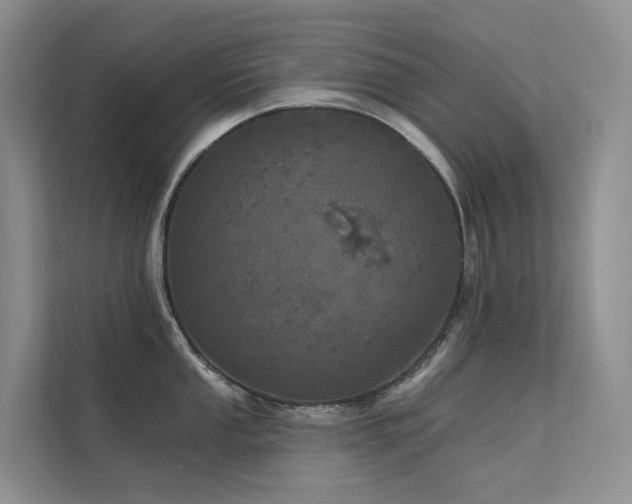 X0000112161053200908071134