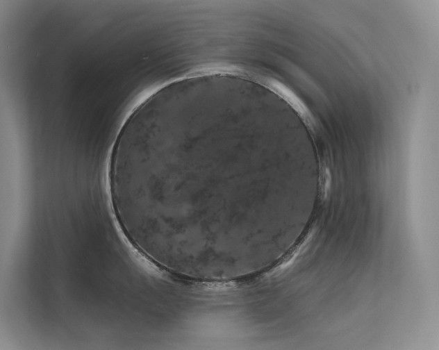X0000112161055200908071134