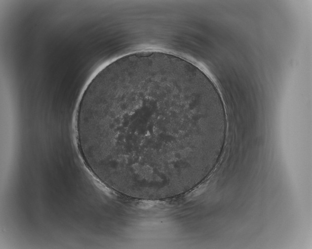 X0000112161056200908071134