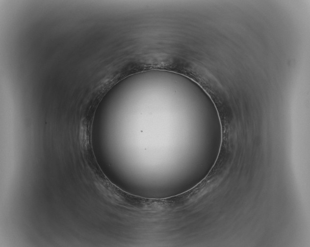 X0000112161058200908071134