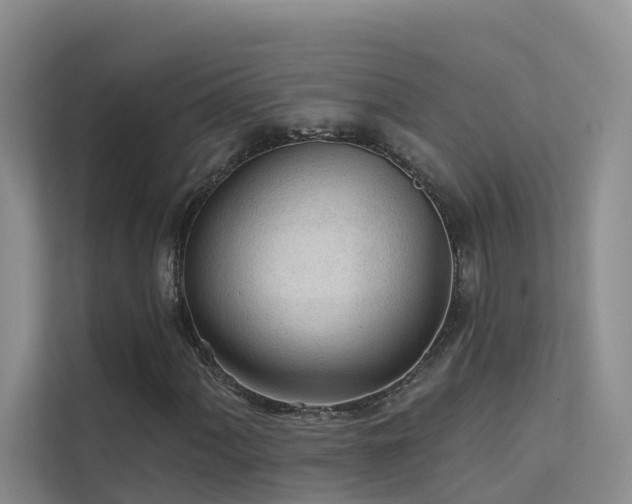 X0000112161060200908071134