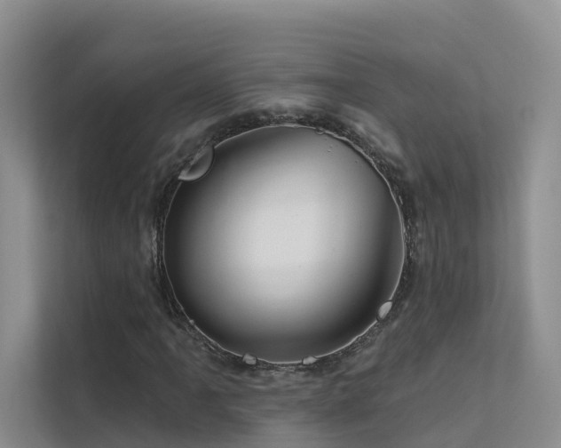 X0000112161061200908071133