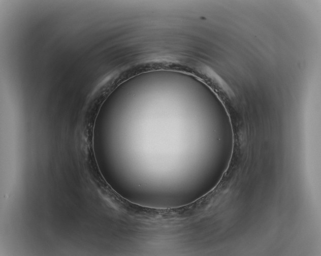 X0000112161064200908071133