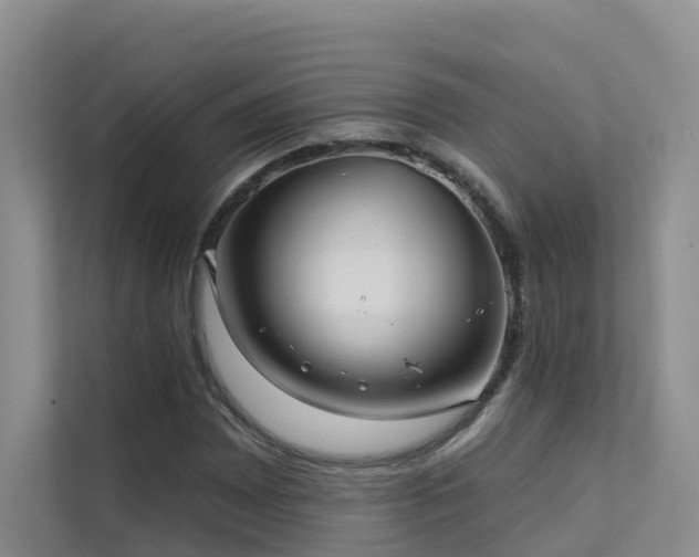 X0000112161065200908071133