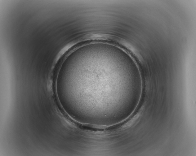 X0000112161066200908071133