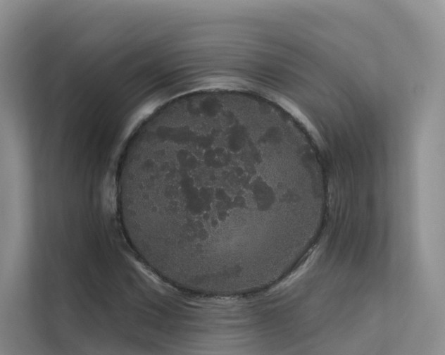 X0000112161067200908071133