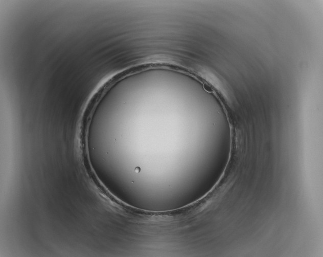 X0000112161068200908071133
