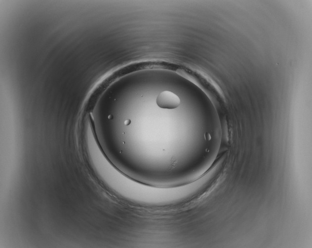 X0000112161069200908071133