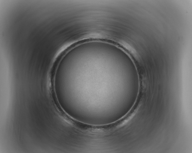 X0000112161070200908071133